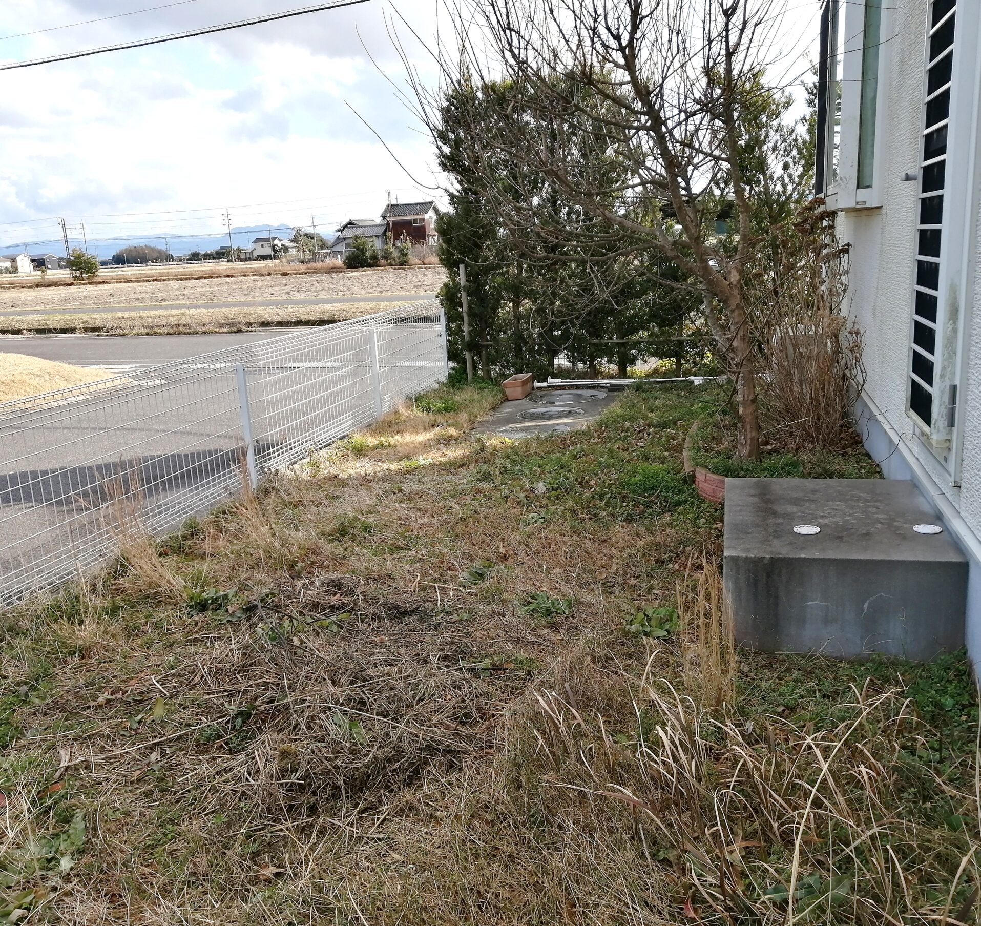 大田市 外構リフォーム 雑草が茂った庭の施工前の様子