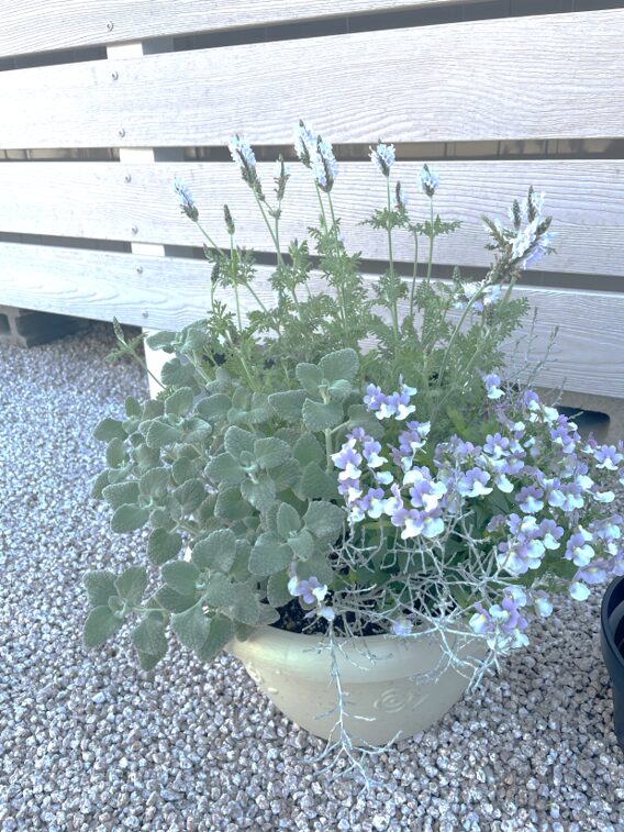 大田市 外構デザイン 鉢植えの植栽で彩る玄関まわり